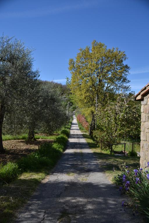 Giardino Di Potentino Seggiano Exterior photo